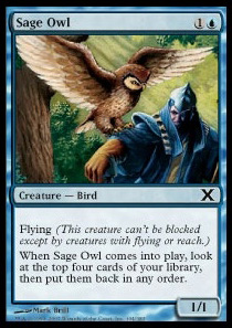 Sage Owl