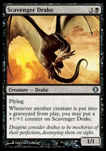 Scavenger Drake