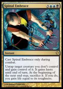 Spinal Embrace