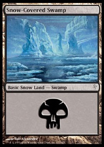 Snow-Covered Swamp