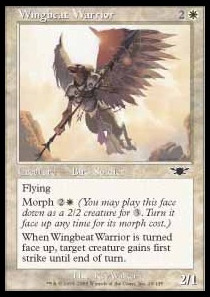 Wingbeat Warrior