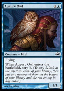 Augury Owl