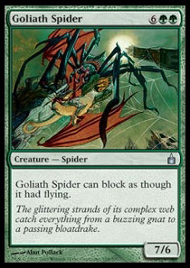 Goliath Spider