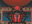 Red Scarab