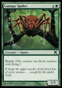 Canopy Spider