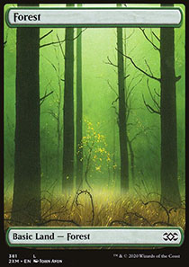 Forest