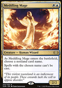 Meddling Mage