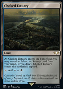 Choked Estuary