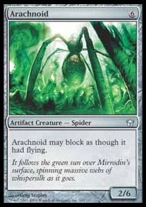 Arachnoid