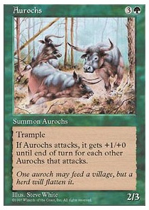 Aurochs