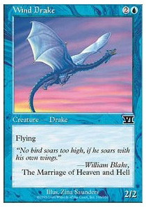 Wind Drake