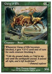 Gang of Elk