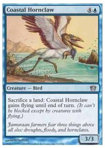 Coastal Hornclaw