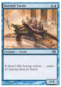 Horned Turtle