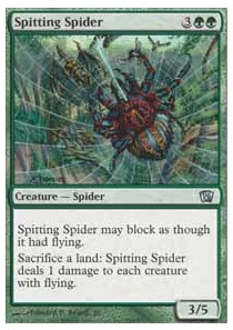 Spitting Spider