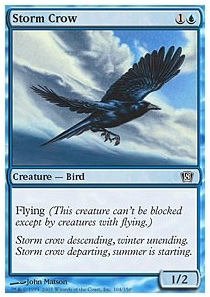 Storm Crow