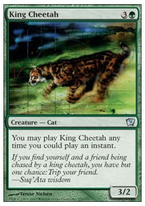 King Cheetah