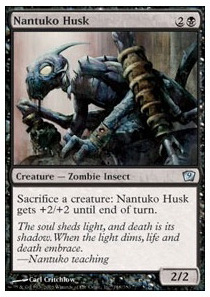 Nantuko Husk