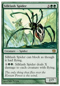 Silklash Spider