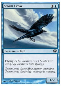 Storm Crow