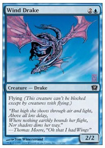 Wind Drake