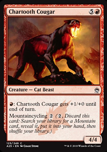 Chartooth Cougar