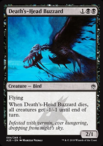 Death's-Head Buzzard