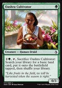 Oashra Cultivator