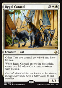 Regal Caracal