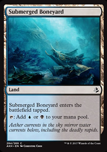 Submerged Boneyard