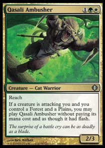 Qasali Ambusher