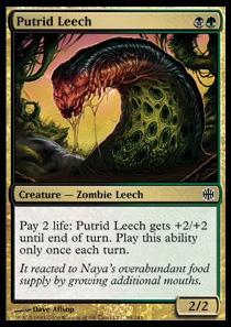 Putrid Leech