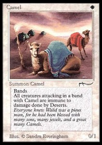 Camel