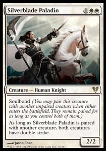 Silverblade Paladin