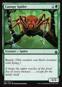 Canopy Spider