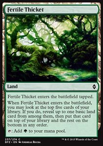 Fertile Thicket