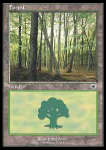 Forest