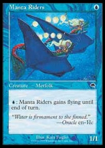 Manta Riders