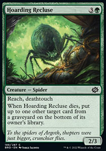 Hoarding Recluse