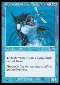 Killer Whale