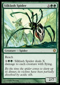 Silklash Spider
