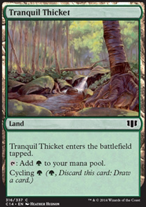 Tranquil Thicket