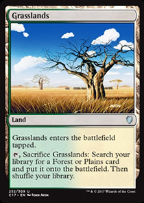 Grasslands