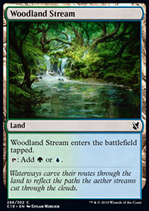 Woodland Stream