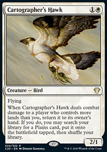 Cartographer's Hawk