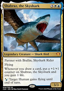 Shabraz, the Skyshark