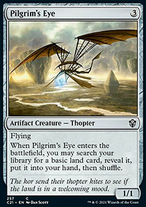 Pilgrim's Eye