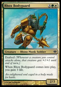 Rhox Bodyguard