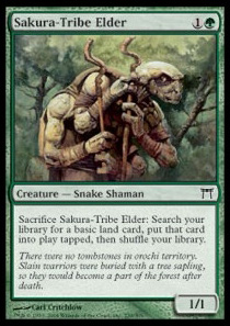 Sakura-Tribe Elder
