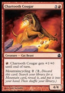 Chartooth Cougar